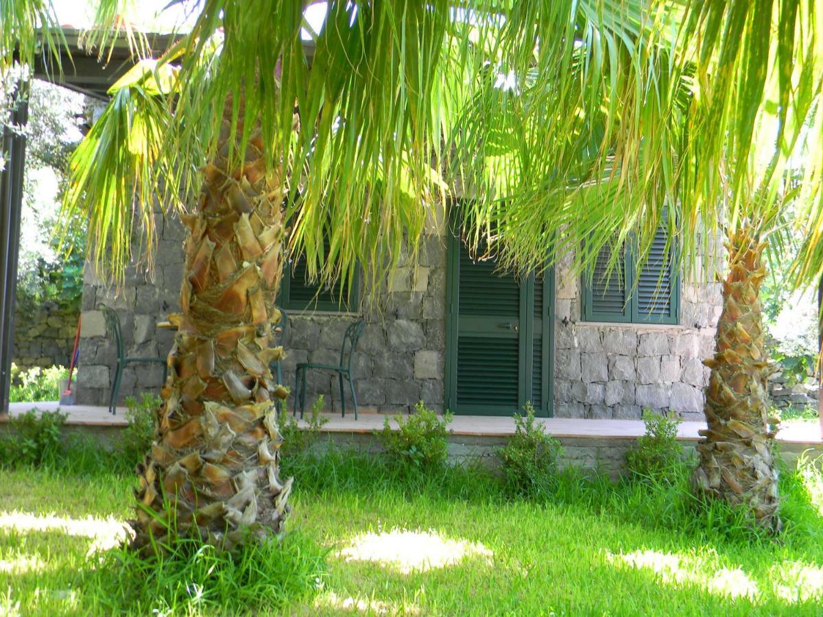 Agriturismo Gianferrante Paterno  Luaran gambar
